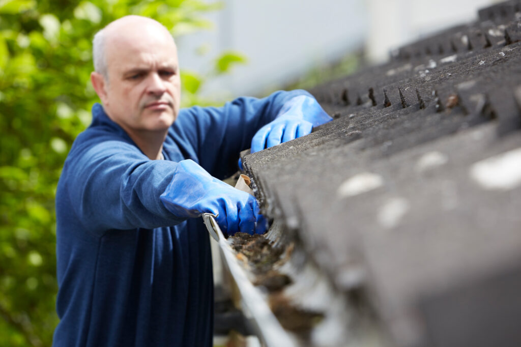 Man Clearing Leaves From Guttering Of House